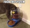 Qa2u0f35tRw.jpg