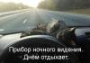 ПНВ спит.jpg