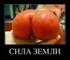 помидор.jpg