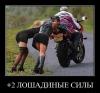 SLvJql9H9ZI.jpg