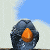 avatar_15217_1303135124.gif